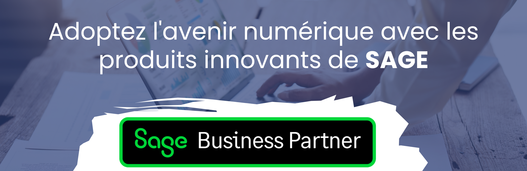 Bannière Sage Business Partner
